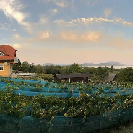 別荘 Bellevue Balatongyörök