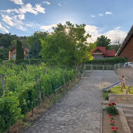 Holiday home Bellevue Balatongyorok
