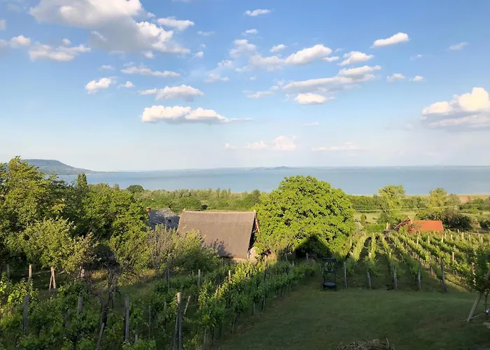 Vakantiehuis Bellevue