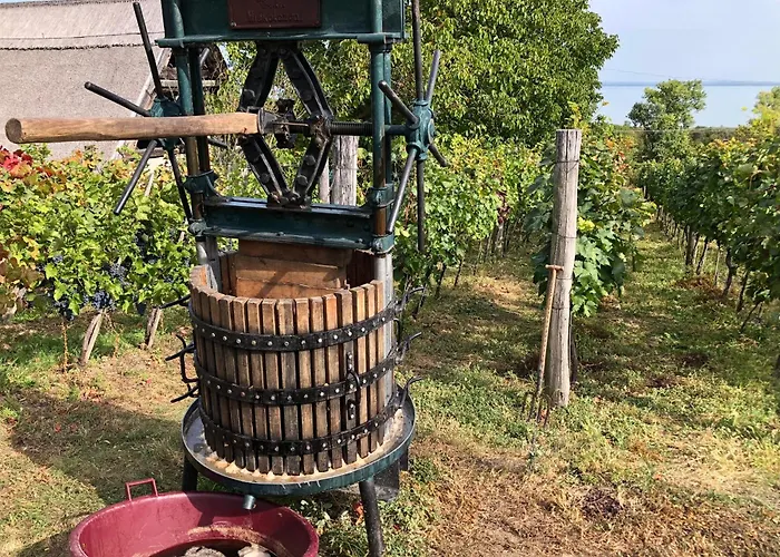 Bellevue Vakantiehuis *